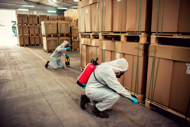 Wildlife Control Services in Wernersville, PA
