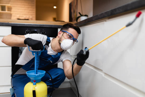 Best Mosquito Control Services  in Wernersville, PA