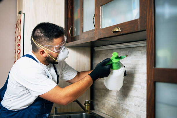 Best Pest Prevention Services  in Wernersville, PA