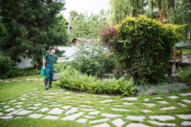 Best Exterminator Services  in Wernersville, PA