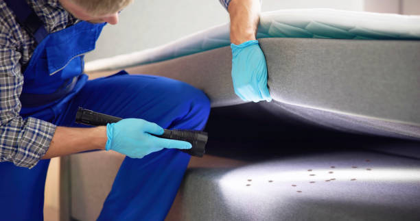 Pest Control for Restaurants in Wernersville, PA