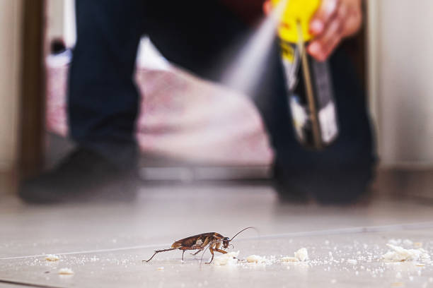 Best Insect Control  in Wernersville, PA