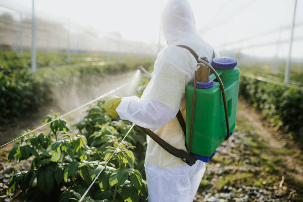 Best Best Pest Control Companies  in Wernersville, PA